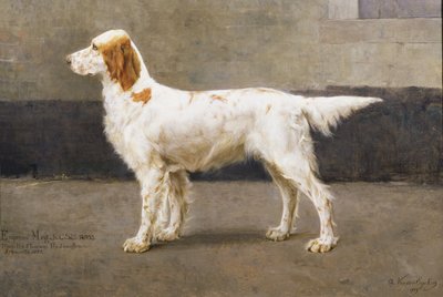 Impératrice Meg, KCSB, 14953, 1885 - Charles van den Eycken